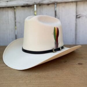 A white cowboy hat with a feather on it.