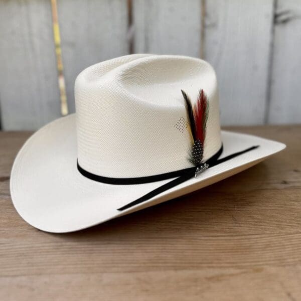 A white cowboy hat with a feather on it.