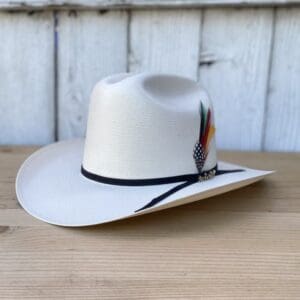 A white cowboy hat with a feather on it.