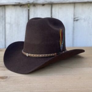 A brown cowboy hat with feathers on it.