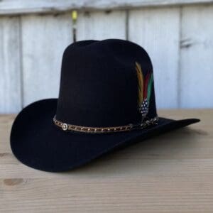 A black cowboy hat with feathers on it.