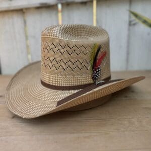 A cowboy hat with a feather on it.