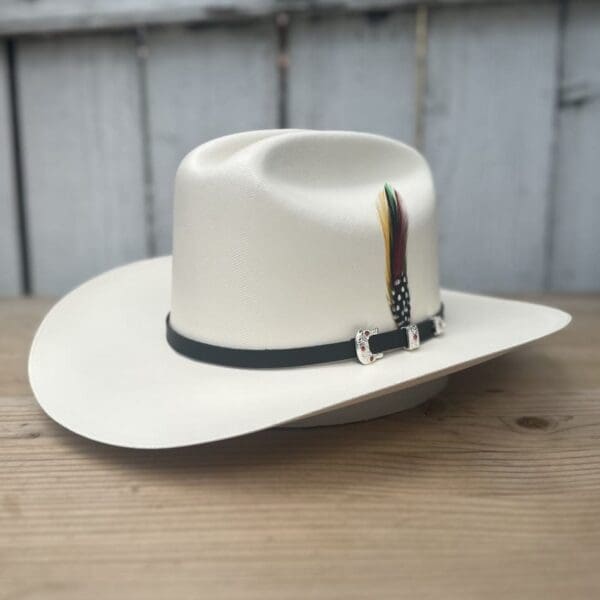 A white cowboy hat with a feather on it.