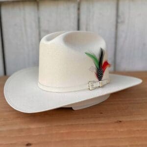 A white cowboy hat with feathers on top of it.