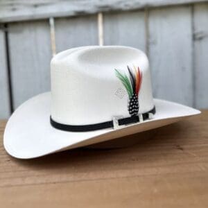 A white cowboy hat with feathers on it.