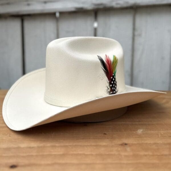 A white cowboy hat with feathers on top of it.